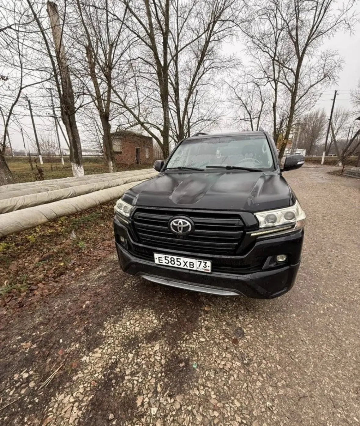 🔥 ЛОТ №3085