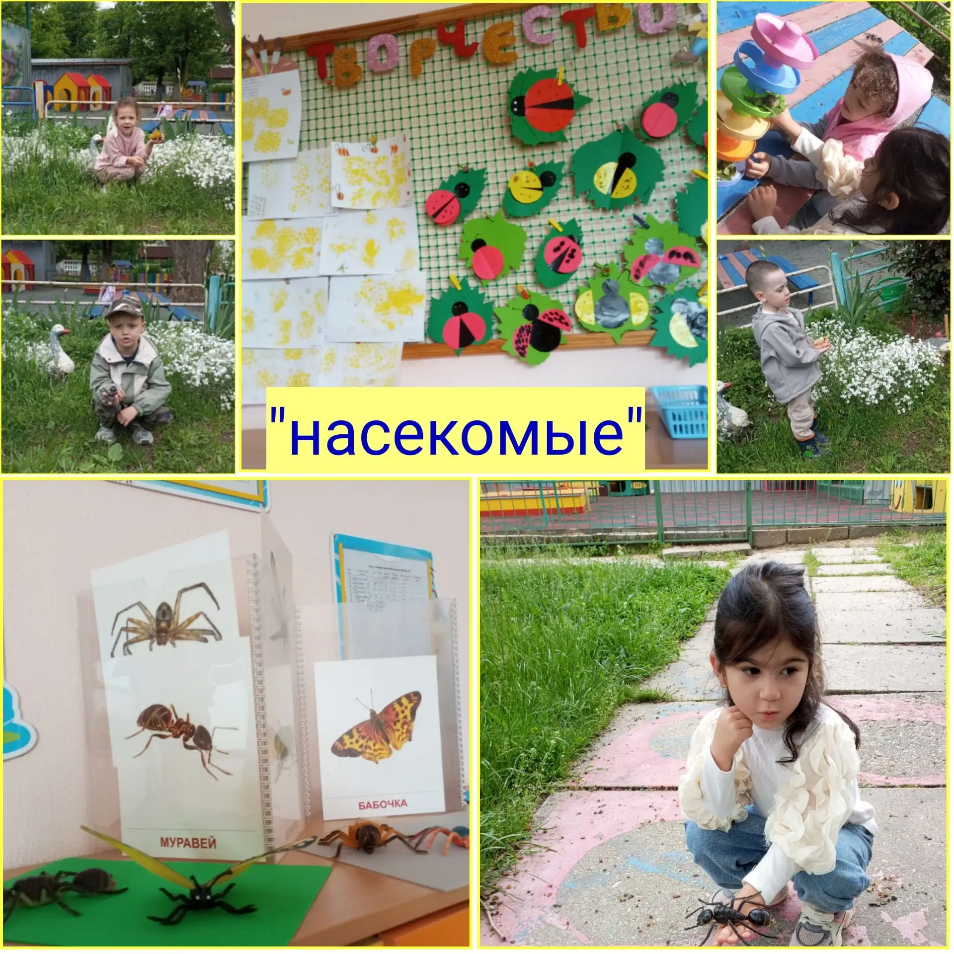 На тематической неделе "Насекомые" дети группы "Тюльпанчики" пополняли свои знания нов вами сведения