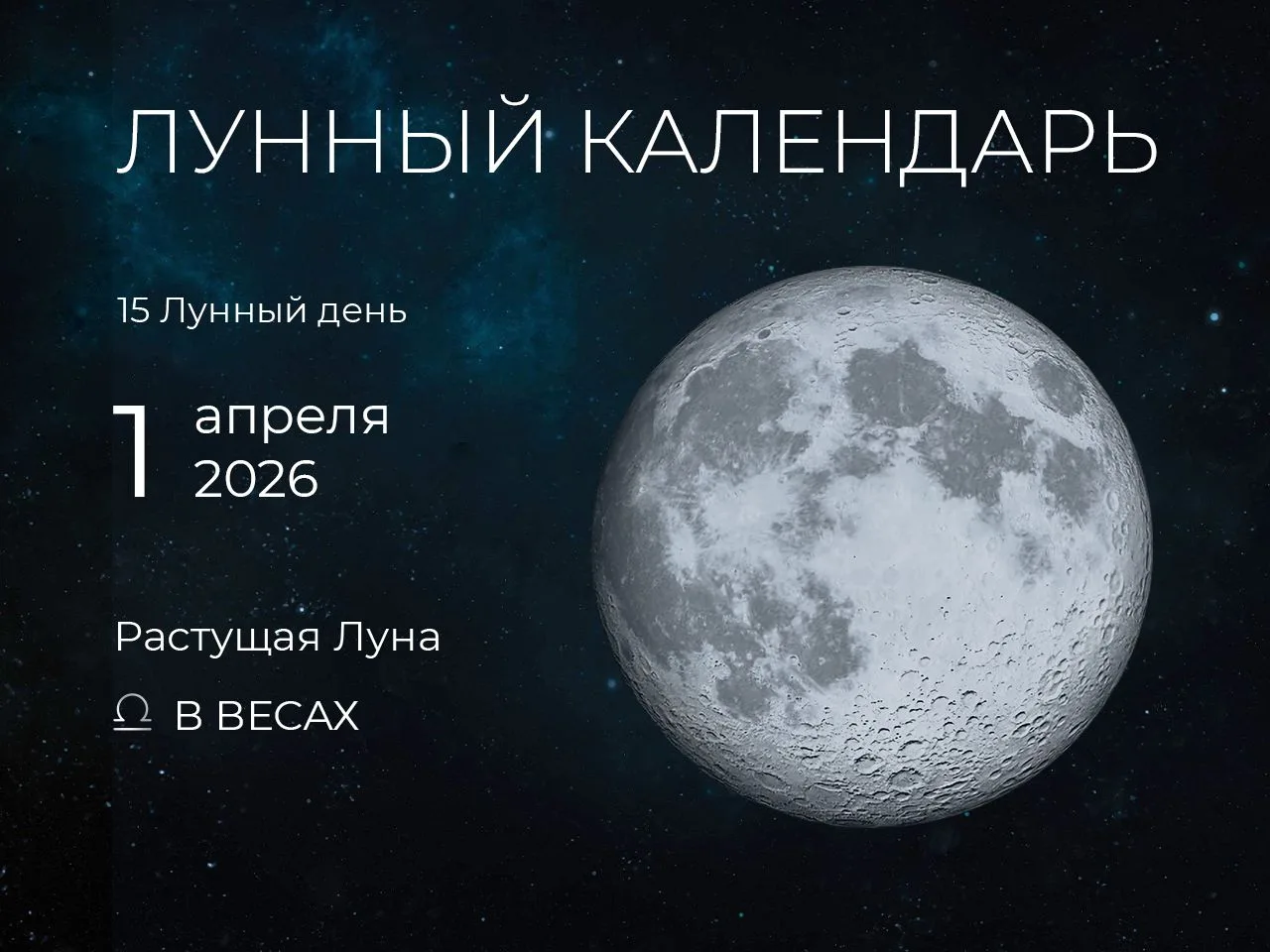 📆 Рекомендации дня: