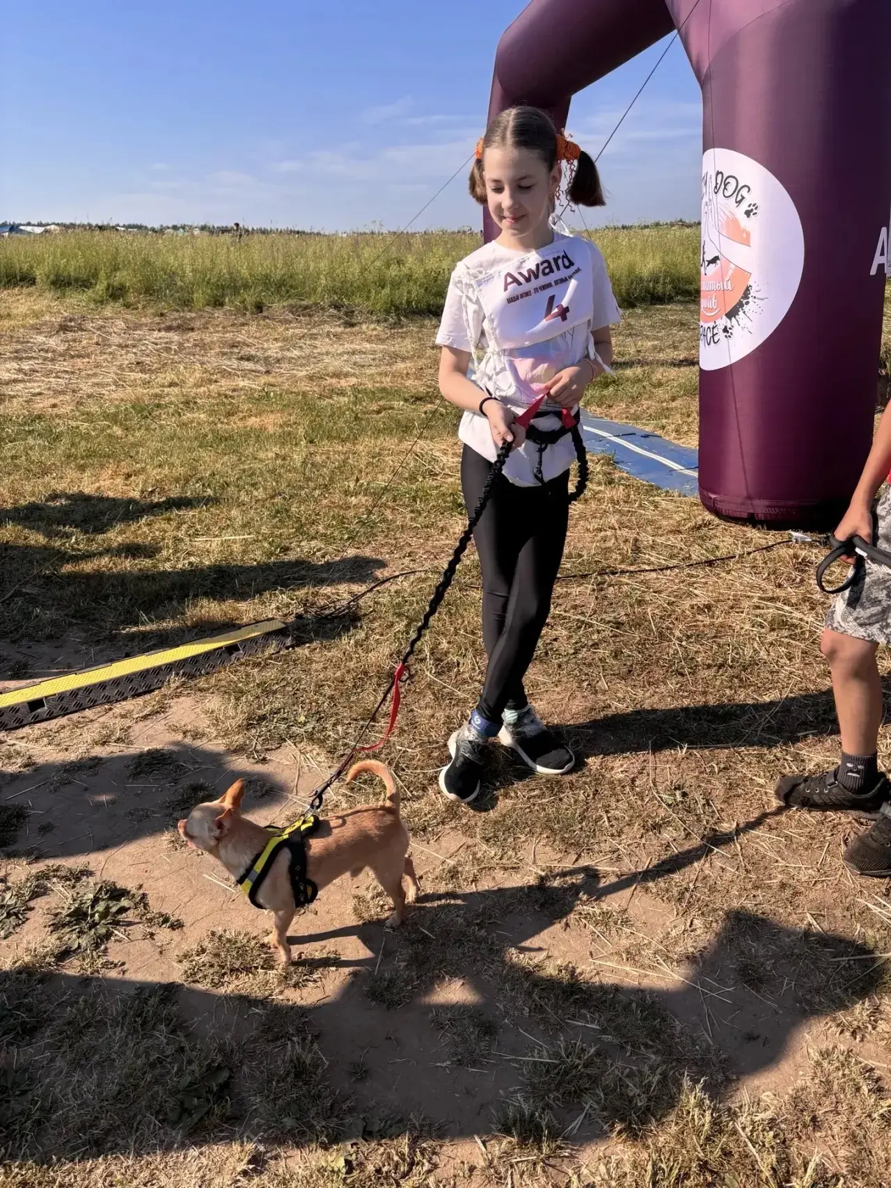 Самые масштабные Экстремальные гонки с собаками в России по Crazy Dog Race “Хвостатый Драйв”💯💯💯
Б