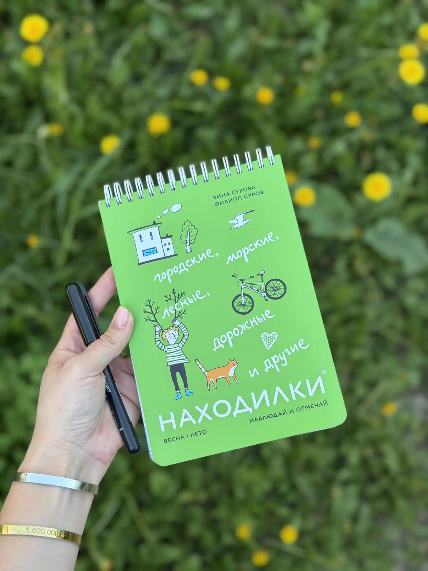 Просто чудеснейшая книжка - занимашка для вас и ребенка «Находилки: весна, лето. Городские, морские,