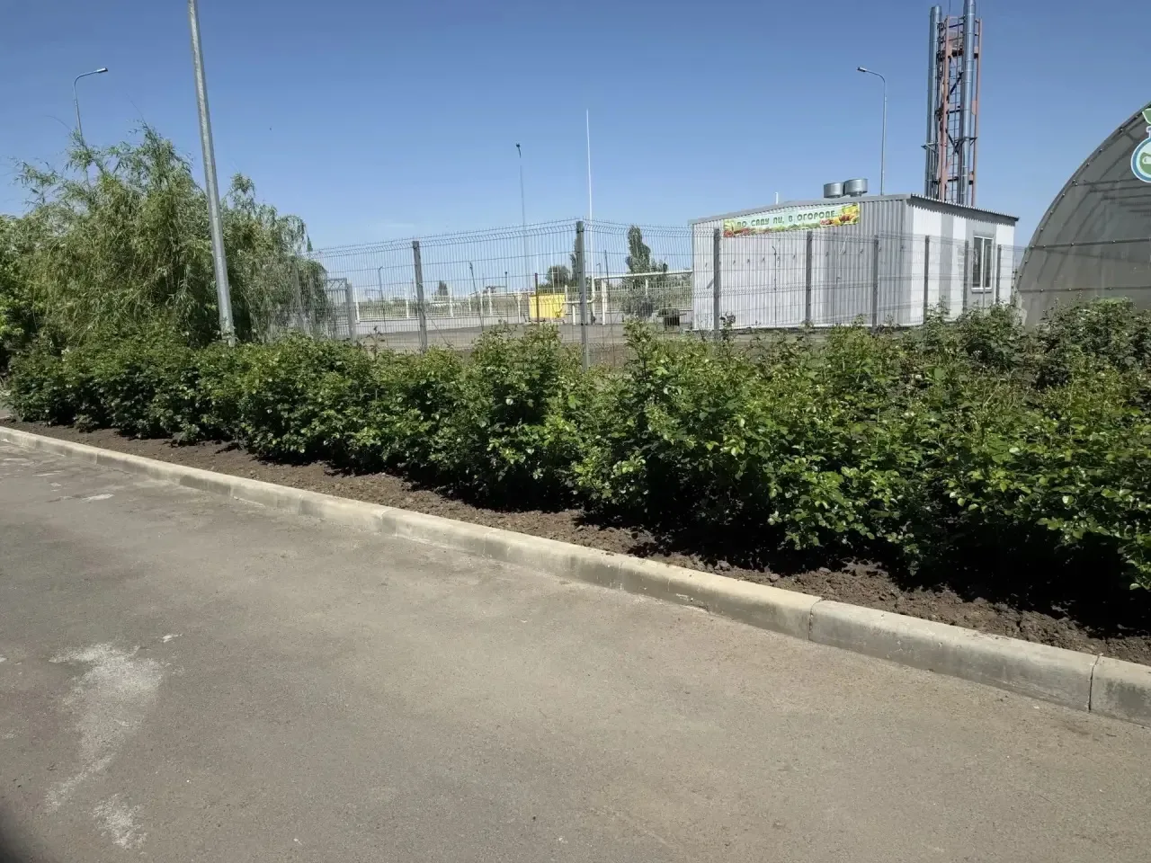 ✨Хорошо, когда дружно и все вместе!   Родители учеников начальной школы привели в порядок школьный р