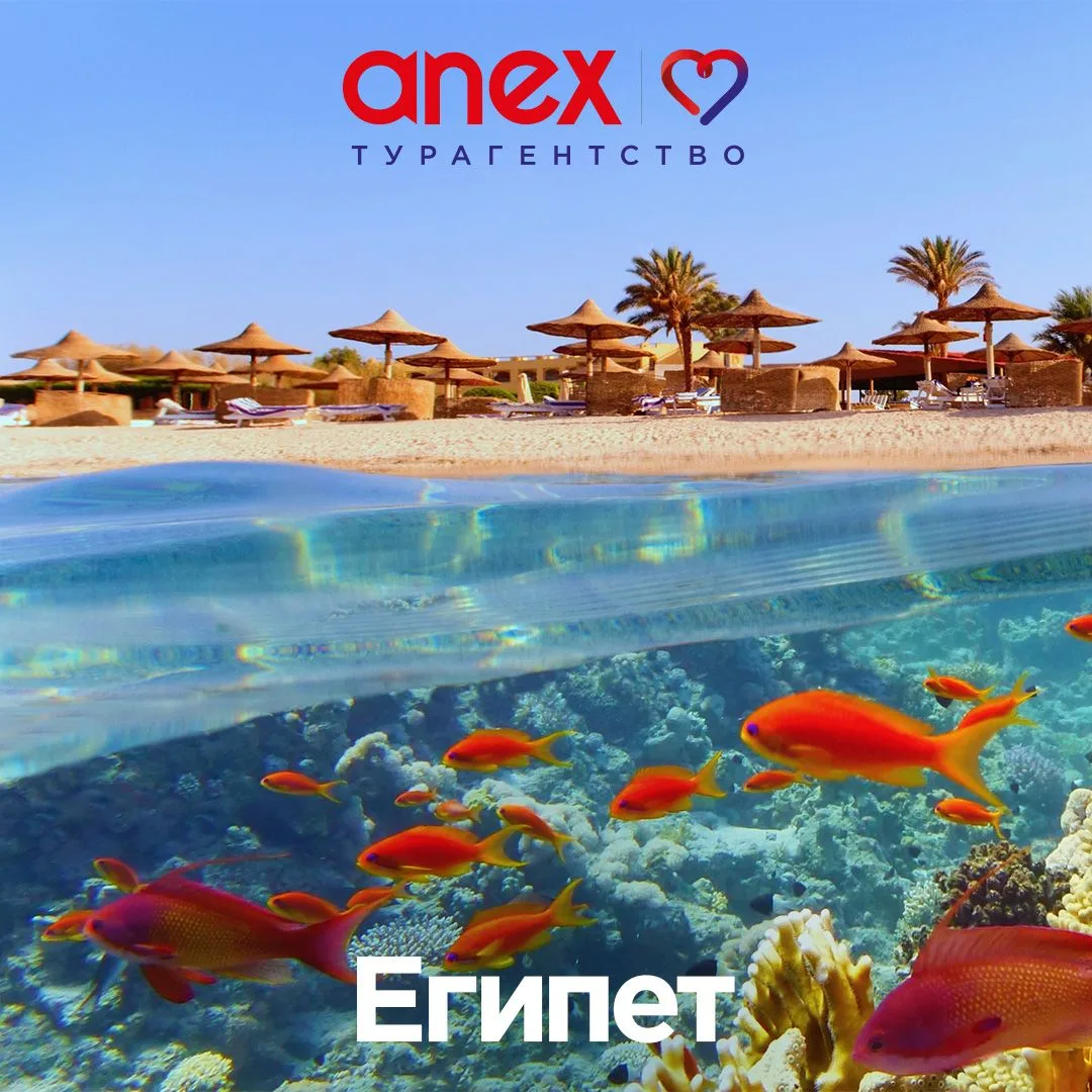 Друзья, сегодня собрали для Вас отличные предложения по Египту😎🐠✈️🌴