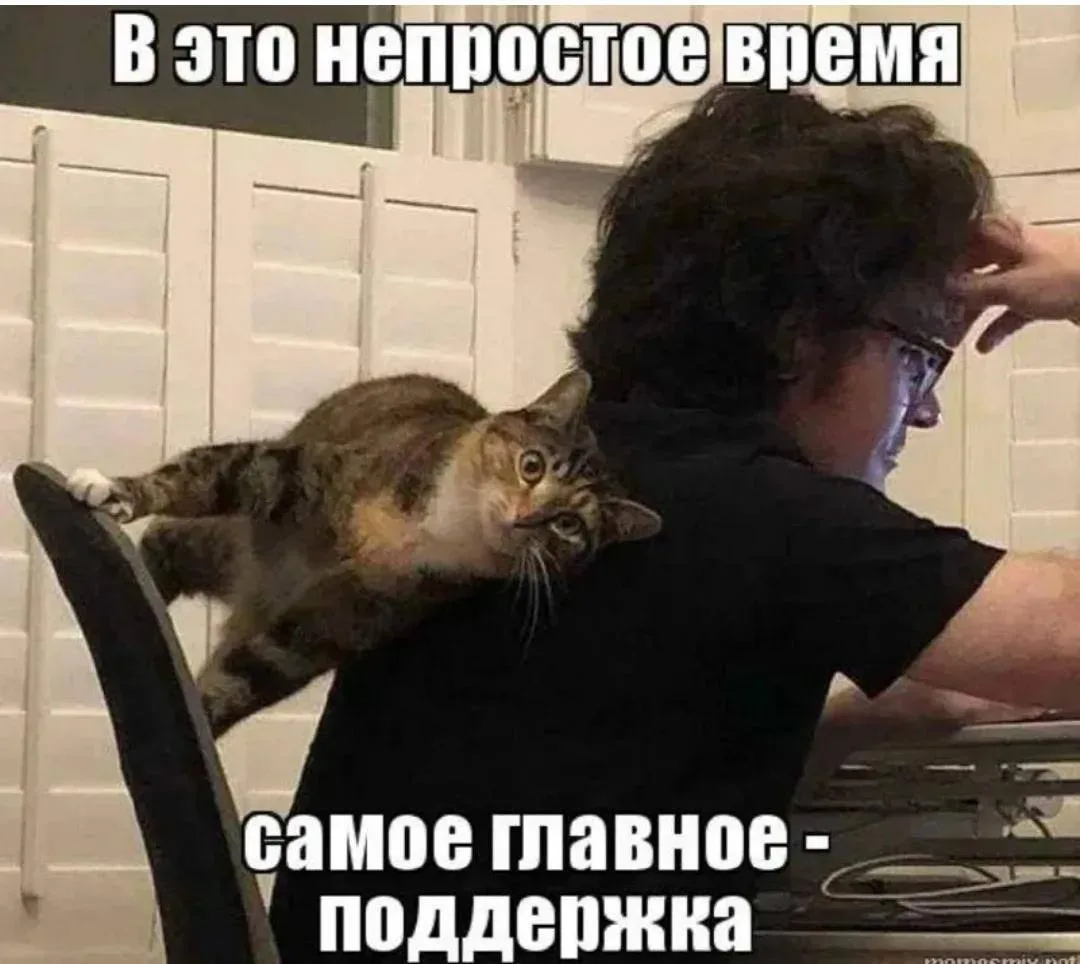 Уважаемые студенты!