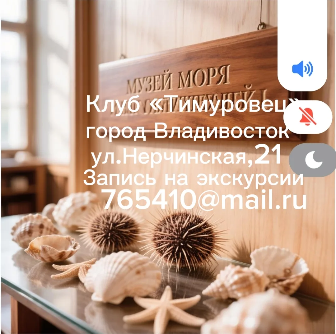Музей моря и его обитателей

Читальный зал
Книги, определители, статьи
Видеоматериалы

Выставочный з