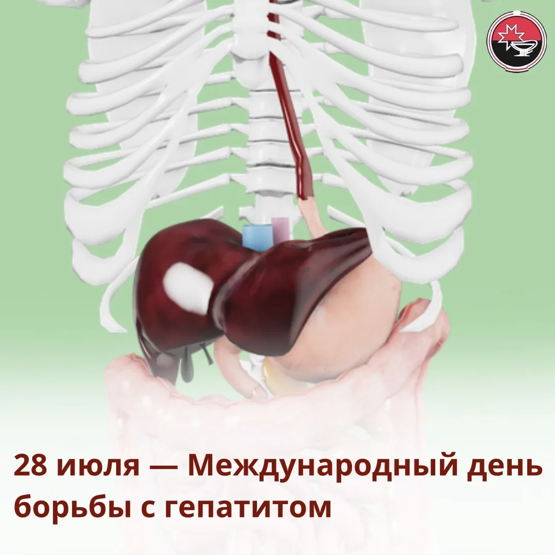#ТематическаяНеделя

🔄Печень — один из самых «трудолюбивых» органов нашего тела. Она фильтрует токс