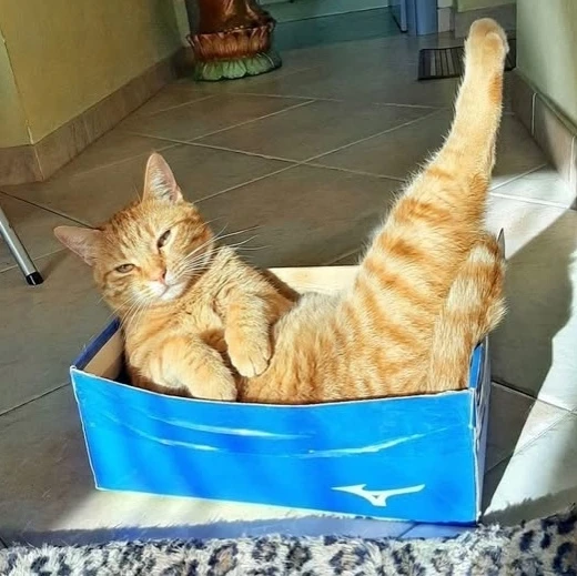 Живет свою лучшую жизнь❤