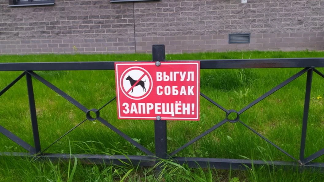 🐶 В Мурманской области с начала года наказали уже 100 владельцев собак  В региональном Комитете по в