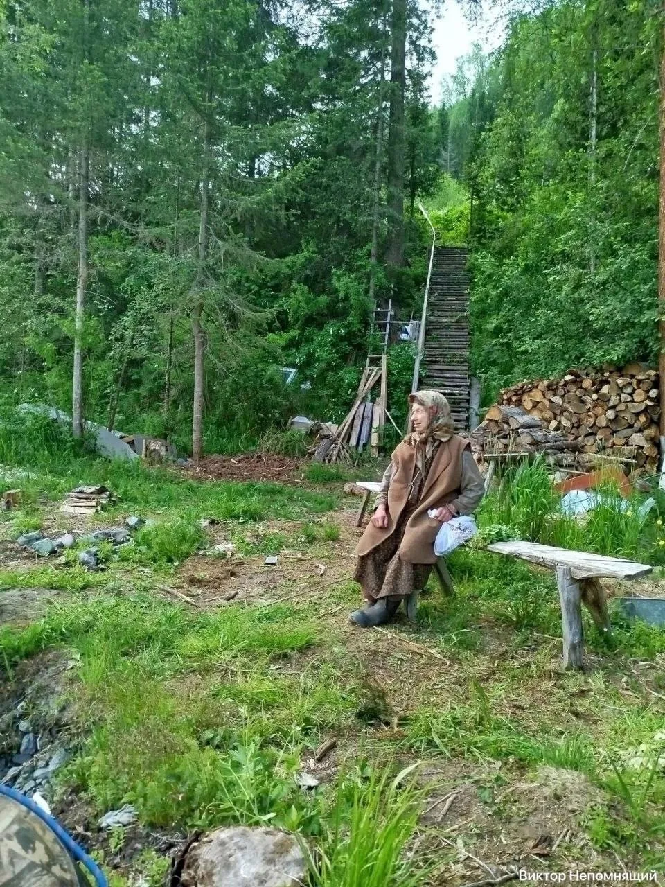 Бурый медведь снова вышел к заимке отшельницы Агафьи Лыковой