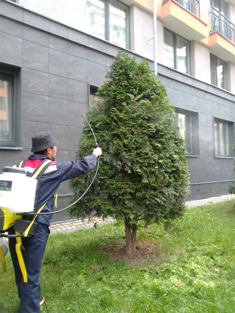 Уважаемые жители, здравствуйте!
