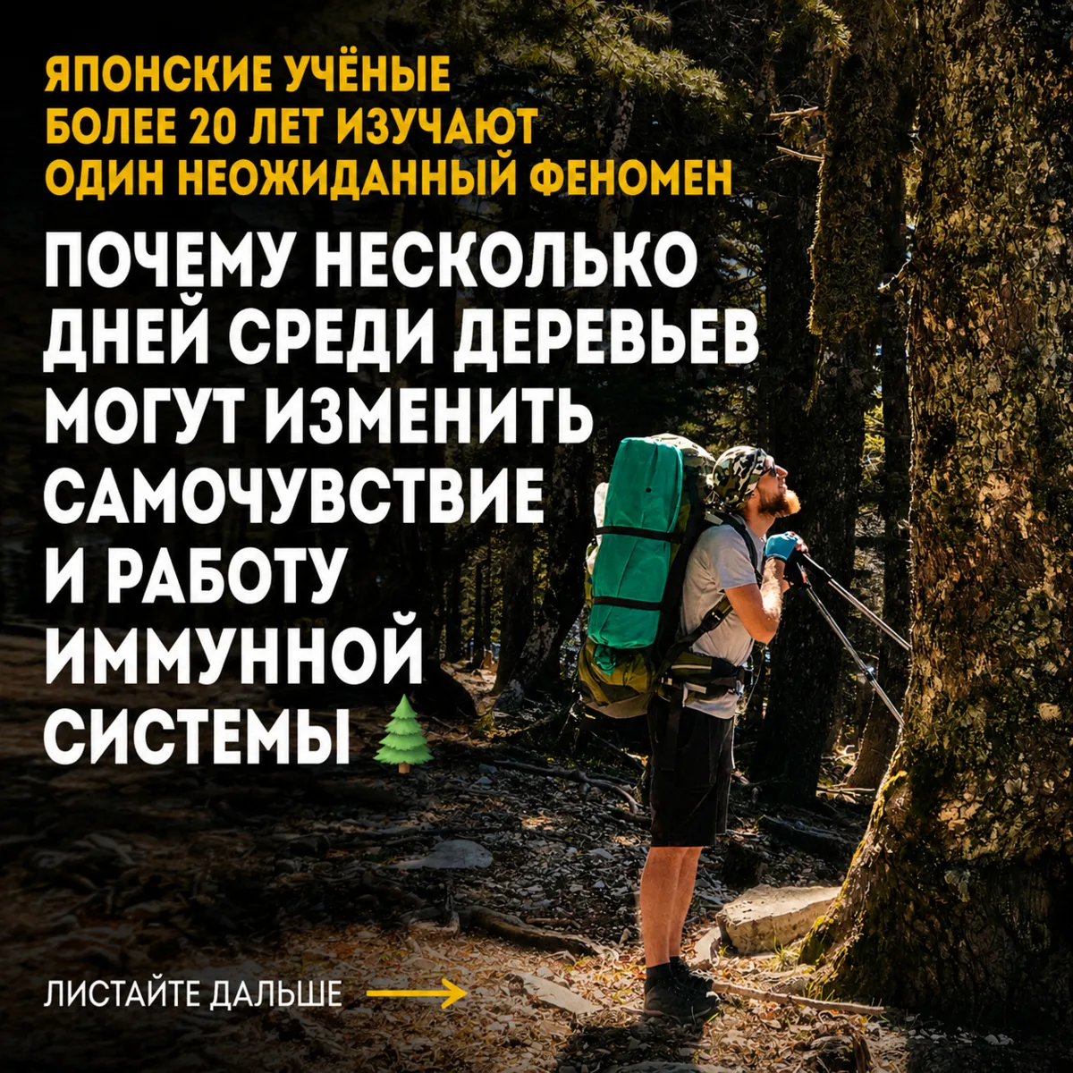 🌲⛰️🌊 Лес, горы и море — возможно, лучшее сочетание для перезагрузки человека.
