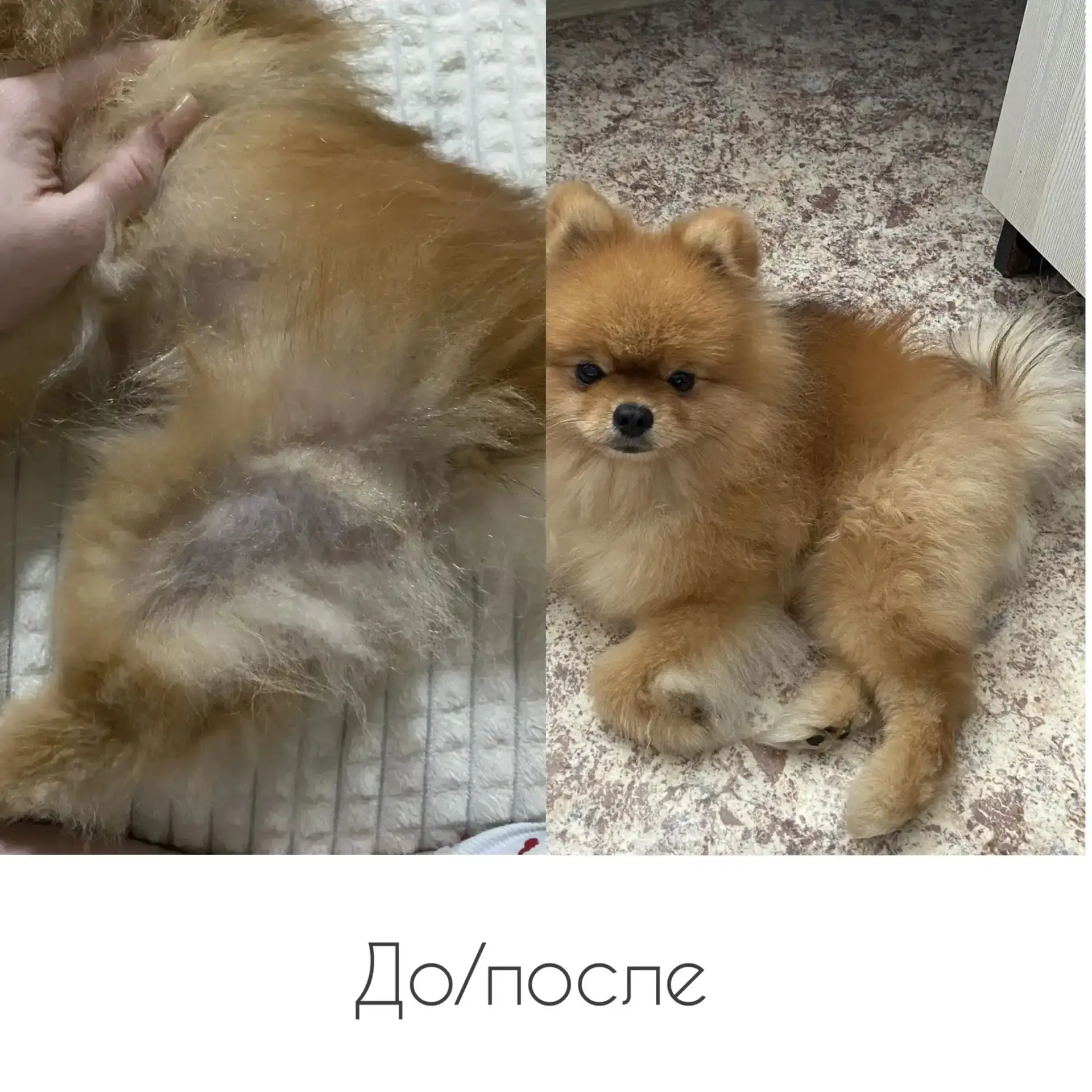 Регулярность + правильный уход = результат! 🌿🤌🏼