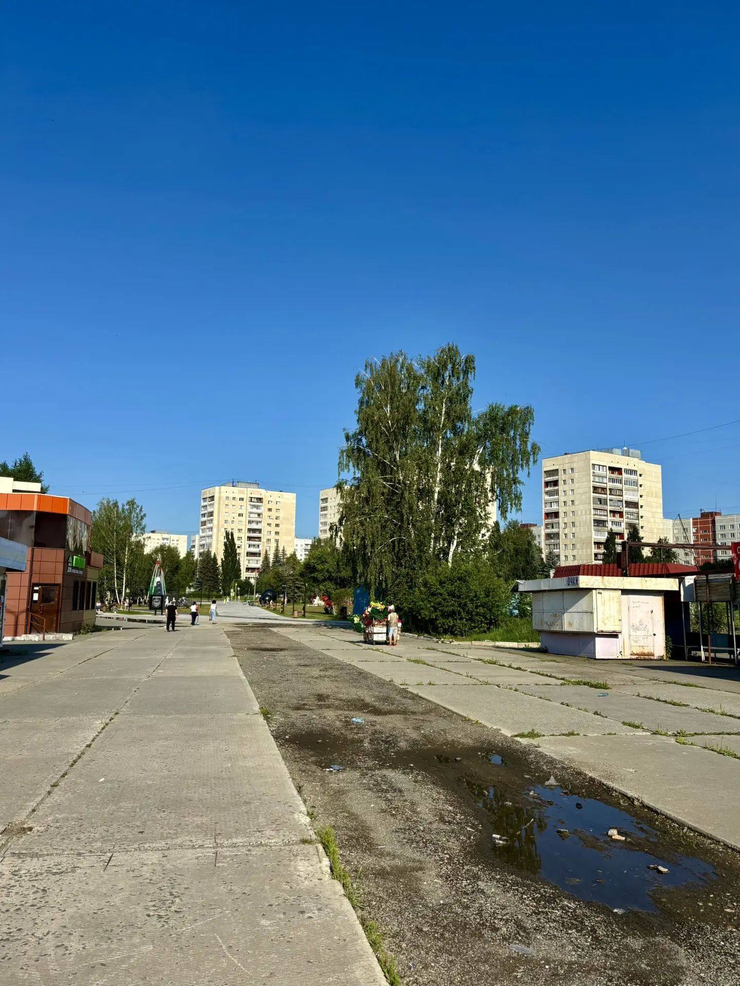 Доброе утро.