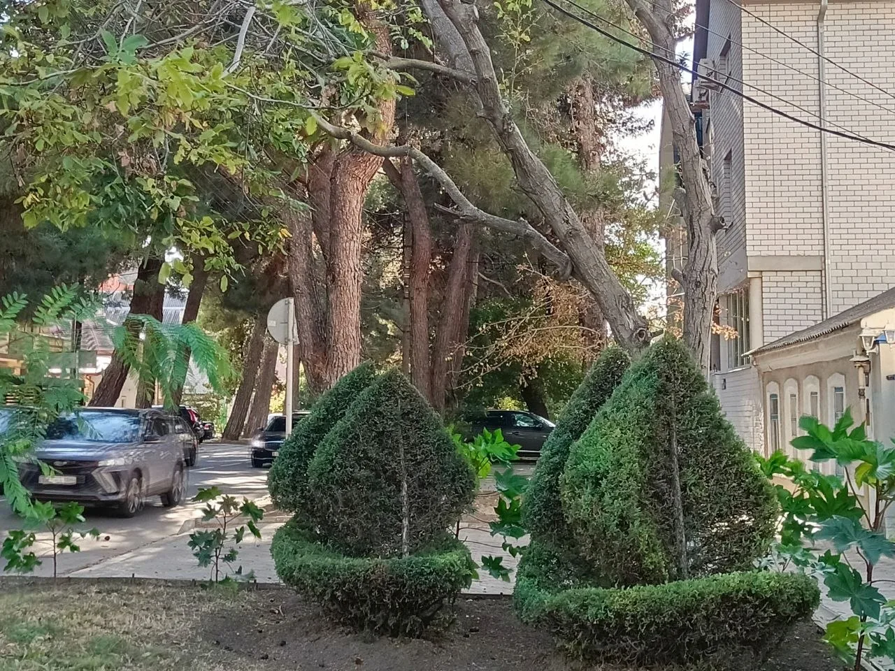Доброе утро! 👋