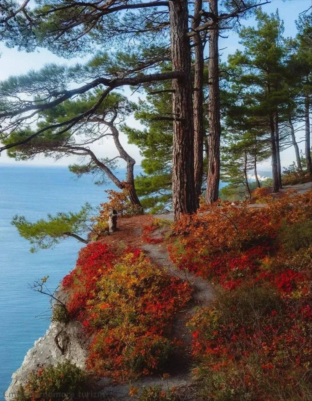 Скоро в Голубой бездне наступит Золотая осень 🍂 и будет нереально красиво 🤩