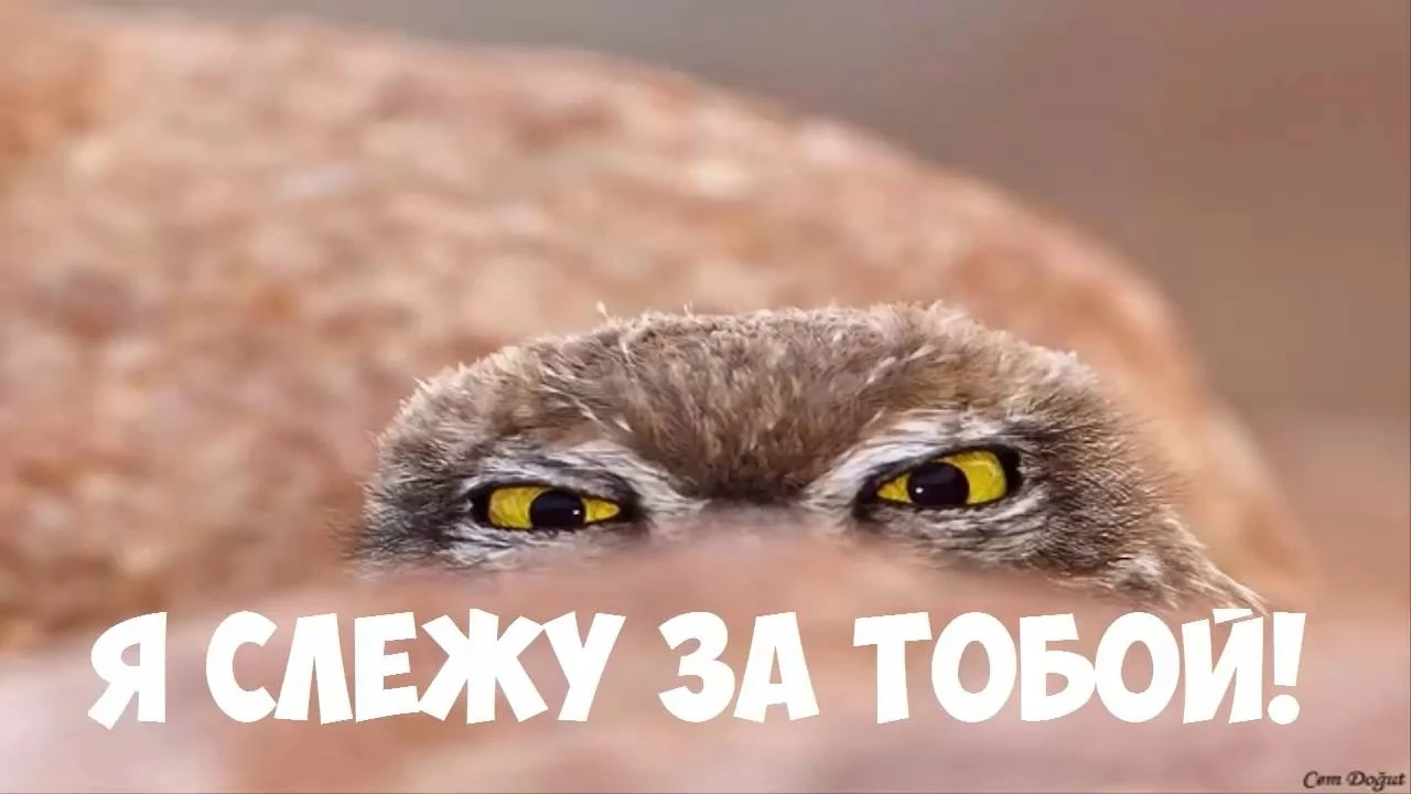 Полтора миллиарда рублей потратят в Подмосковье на автоматическое наблюдение за контейн...