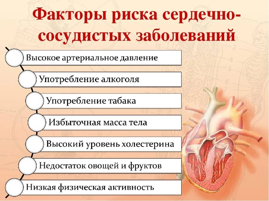 Сердечно-сосудистые заболевания (ССЗ) занимают первое место в структуре смертности в Ро...