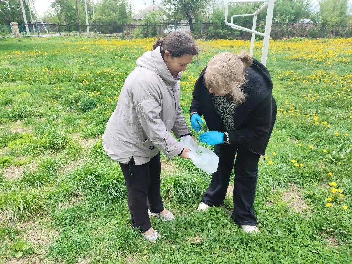 Учителя МБОУ ООШ № 28 города Белово приняли активное участие в общегородском субботнике...