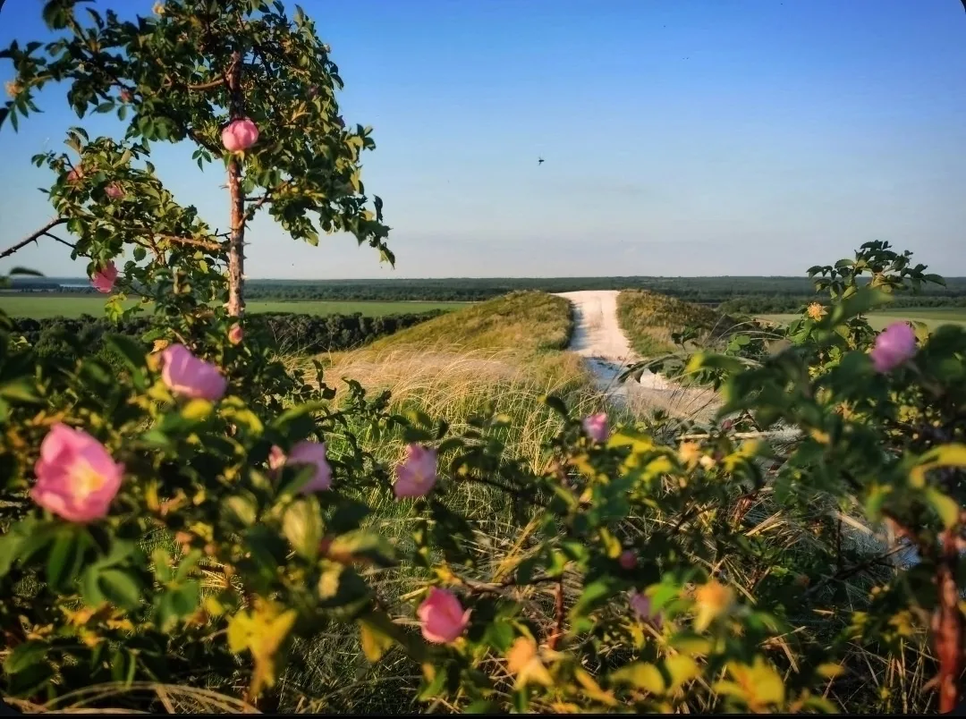 Воронежская обл., с. Костенки Костенкинский пупок
Honor 30 pro plus

👍 Оцените фото от 1 до 10
От В