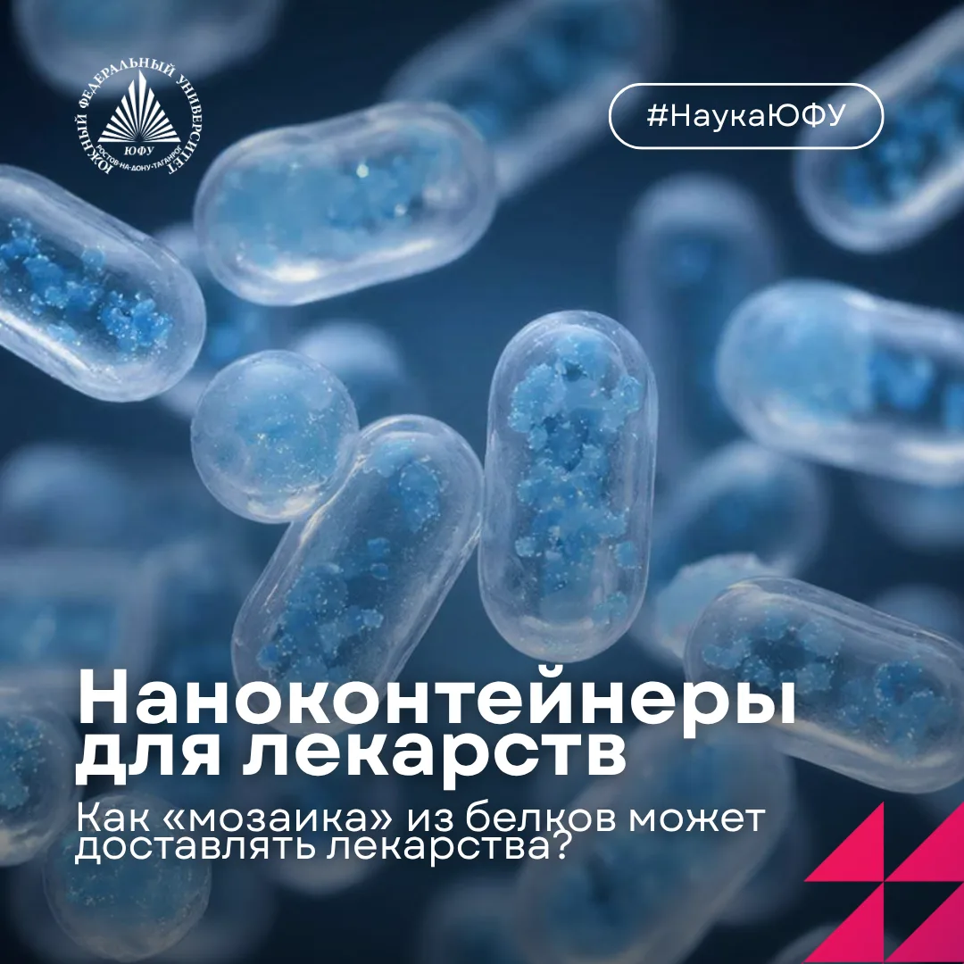 Белковые «капсулы» для лекарств 💊