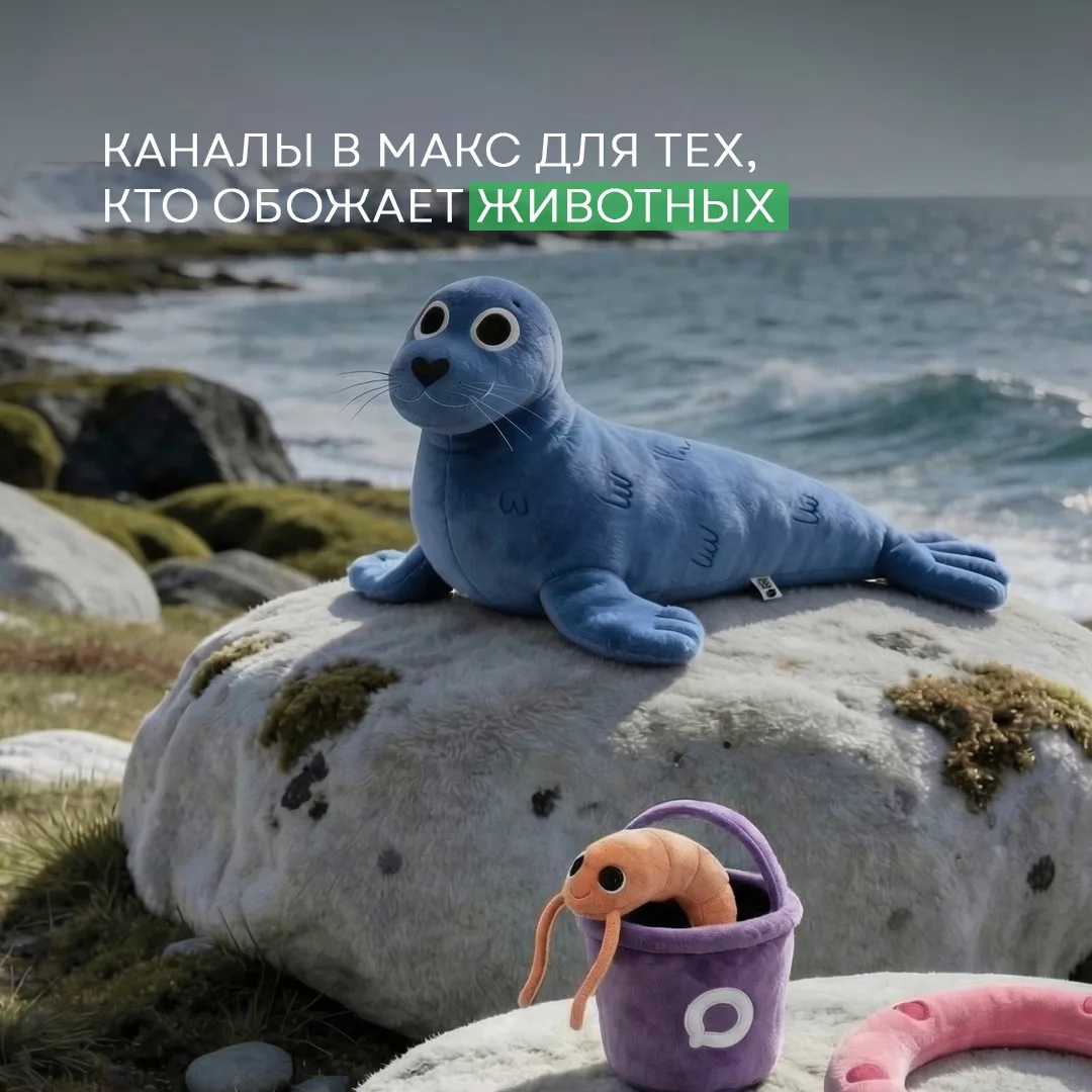 Всем, кто любит животных, посвящается 🥰

Собрали для вас подборку каналов в МАКС, где есть и пушист