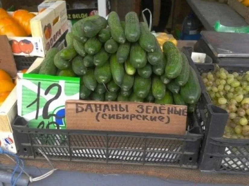 Поддерживаете?🤔