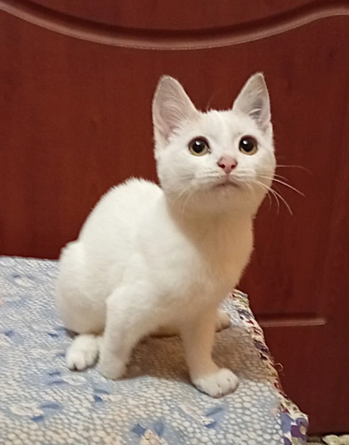 Нижний Новгород 👋