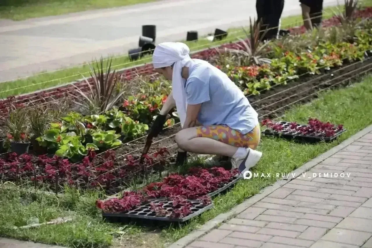 Продолжаются работы по смене цветочного оформления Белгорода на летнее