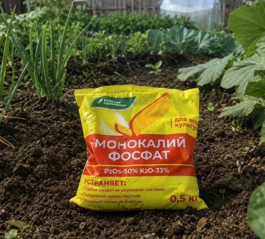 ‍🍅 Почему у одних грядки ломятся от урожая, а у других — «что-то выросло, и ладно»?

Казалось бы, в