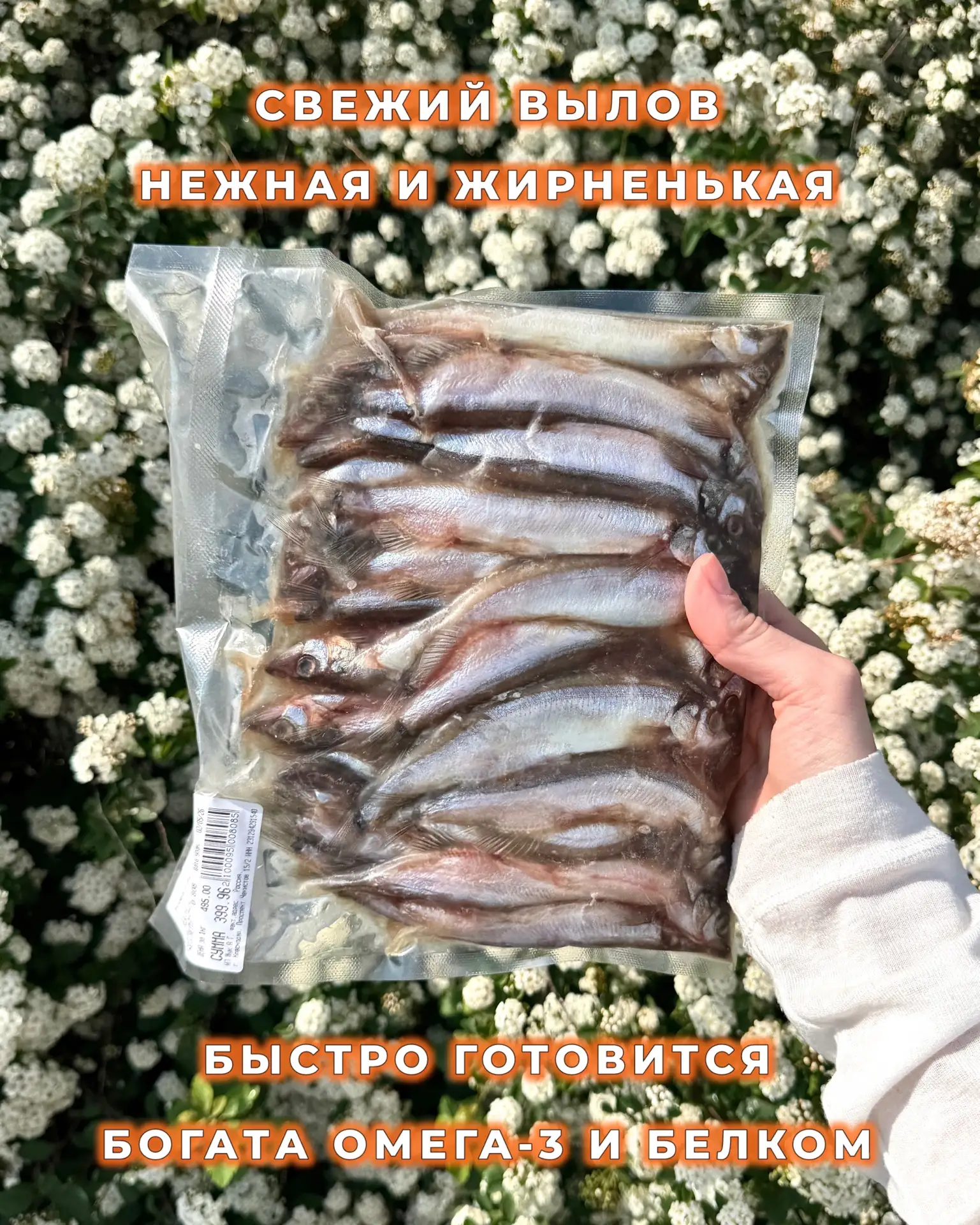 🫍🫍🫍  Мойва свежайшего вылова и ничего лишнего 🥰 Сегодня еще и со скидкой понедельника -10%   Как гот