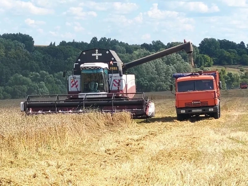 🚜На Орловщине продолжается уборочная кампания