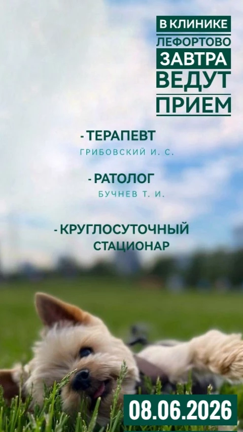 Друзья! Ждём вас в клиниках «ТриоВет»❣️