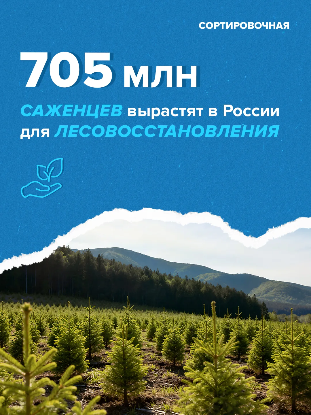 Изображение 1 к публикации «Сортировочная»