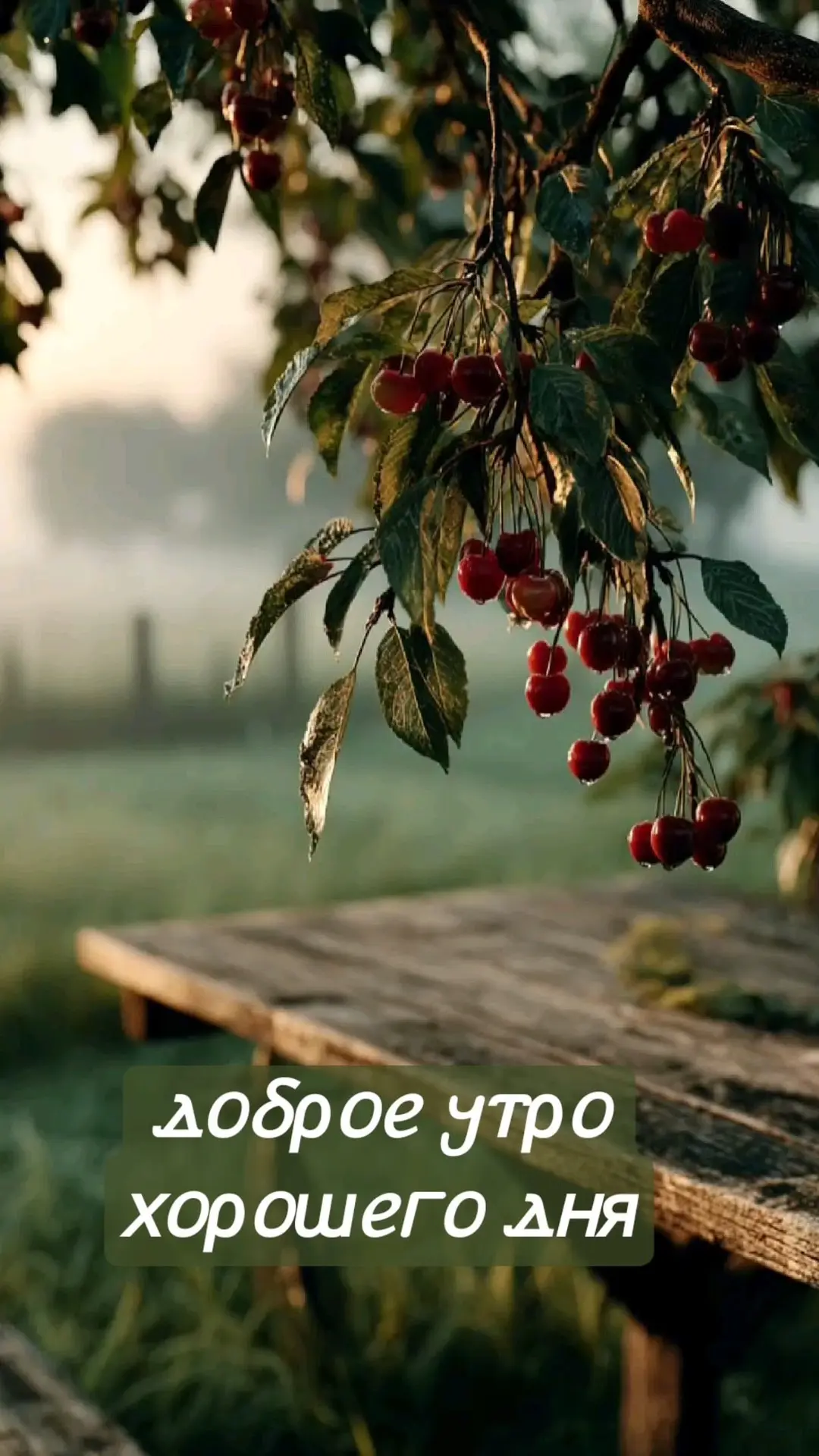 Открытки для улыбки 💌  Подписаться