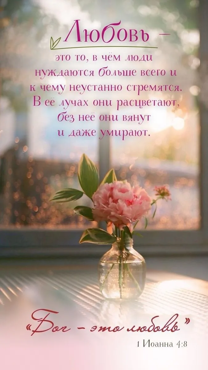 #Цитаты