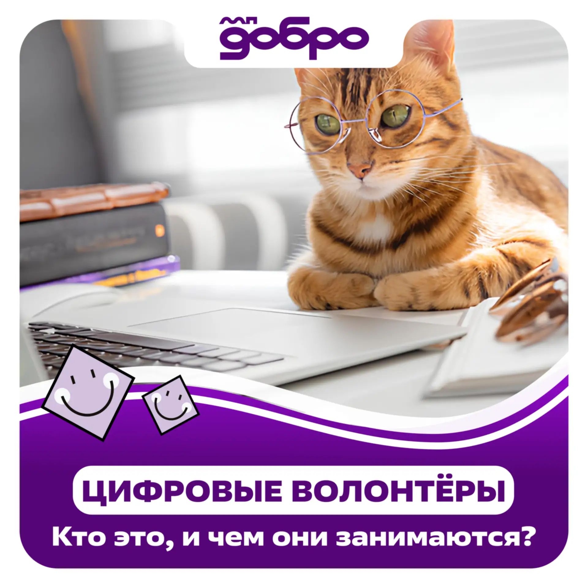 Добровольчество на дистанте 📲