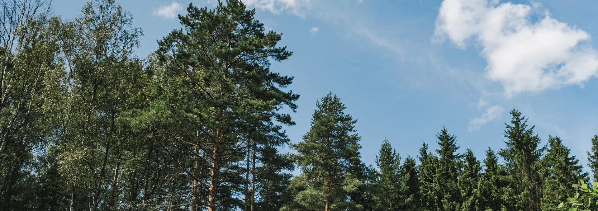 #МоментыНедели в Radisson Завидово 🌲

☕️ Отличные новости для тех, кто планирует отдых: до 31 июля 