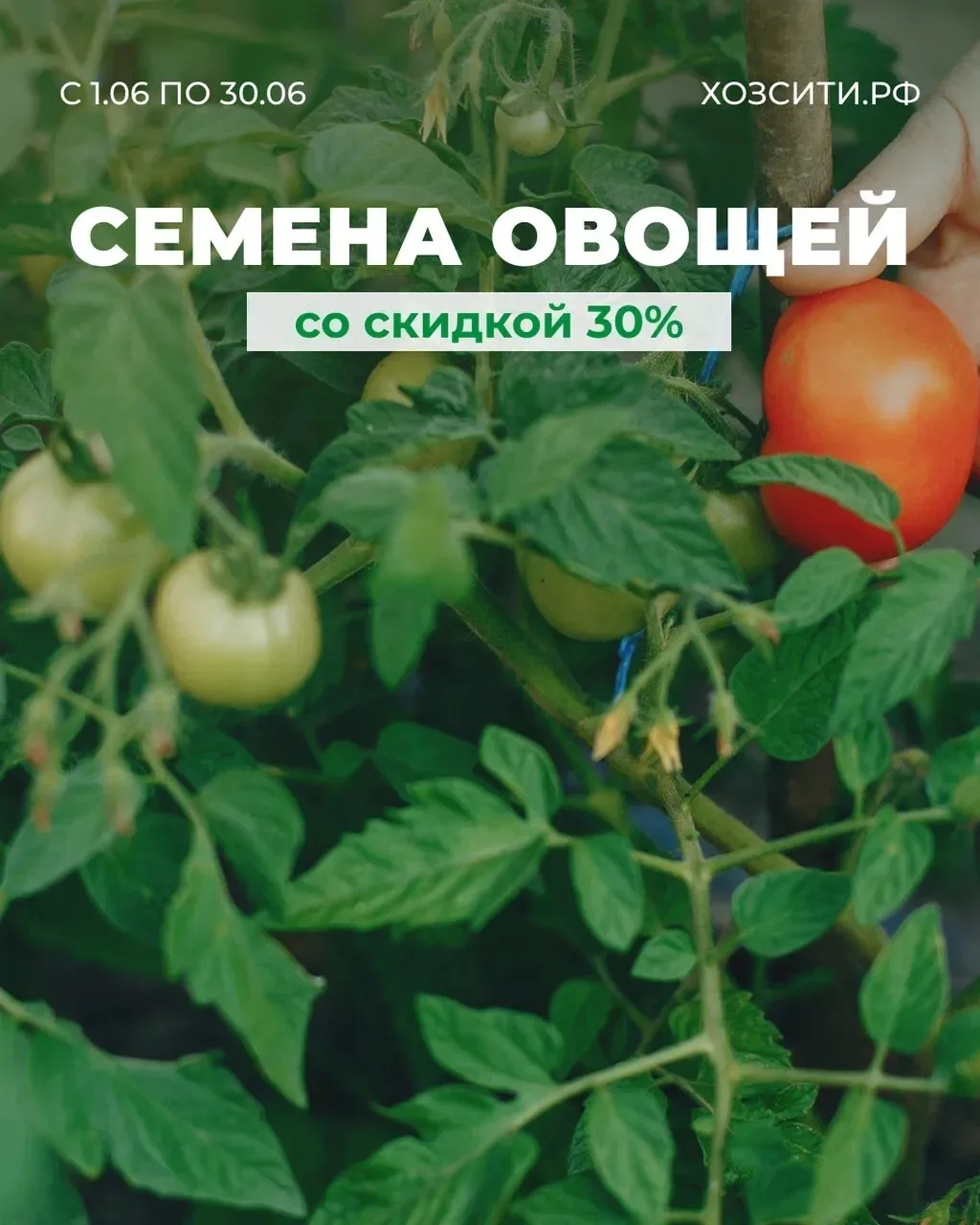 Семена овощей со скидкой 30%!

Полный выбор в каталоге ⬅ 

Акция проводится с 1 по 30 июня 2026 года