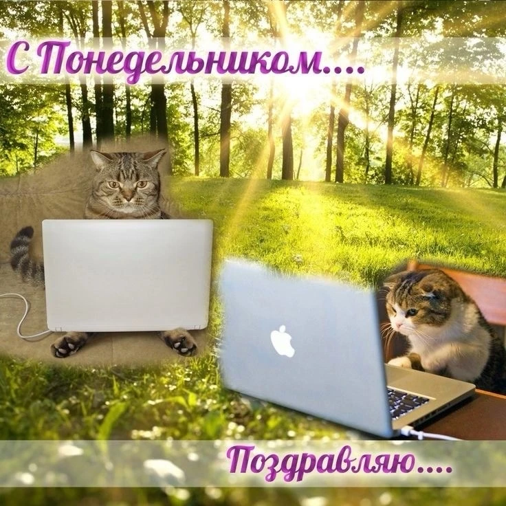 За окном конечно лето, но кто работать будет?
