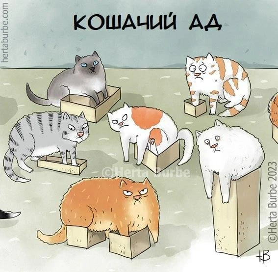 Смешные картинки и видео каждый день 🤣