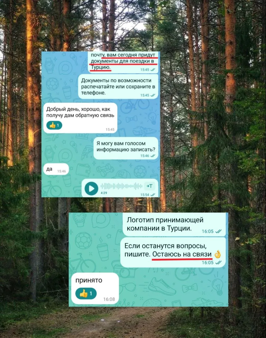 Медиа публикации