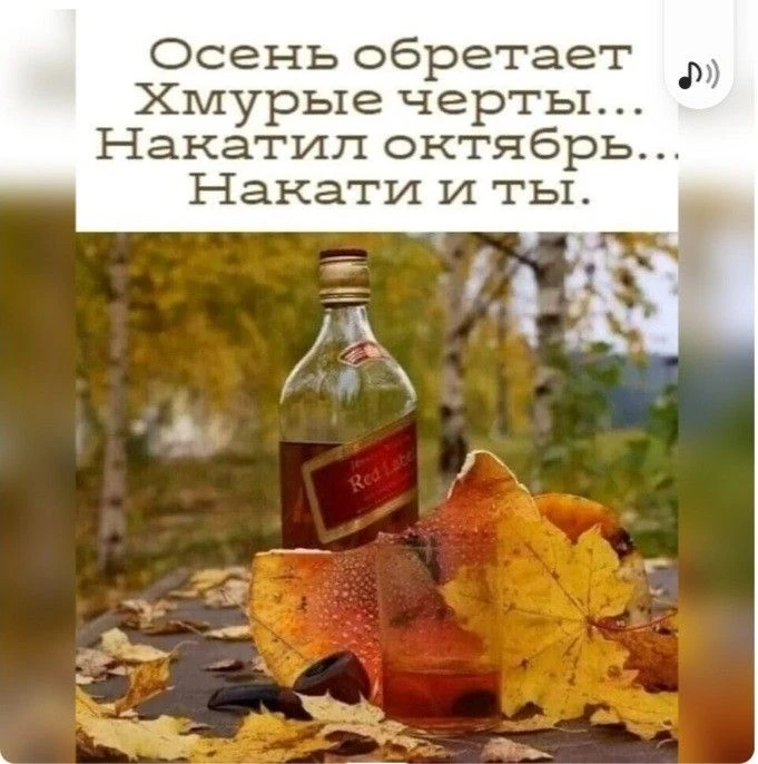 #юмор