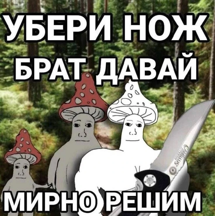 Про грибочки у ИИ не спрашиваем 🍄