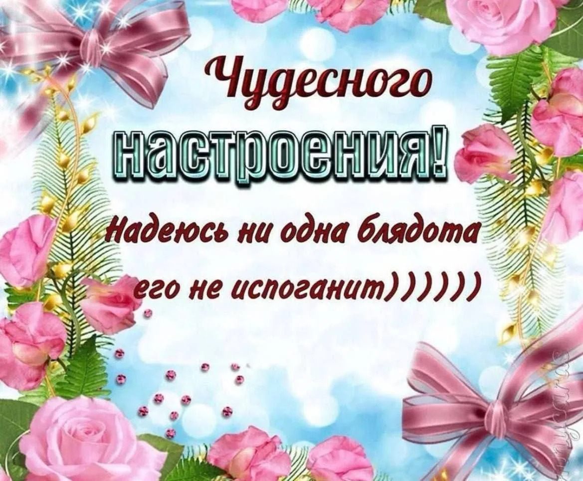 А всем остальным добрейших пожеланий на день 😂😂😂