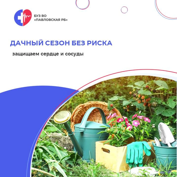 Дачный сезон без риска для сердца и сосудов