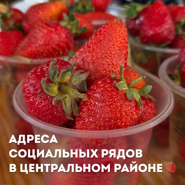 Садоводы Центрального района готовятся к сезону урожая 🍓