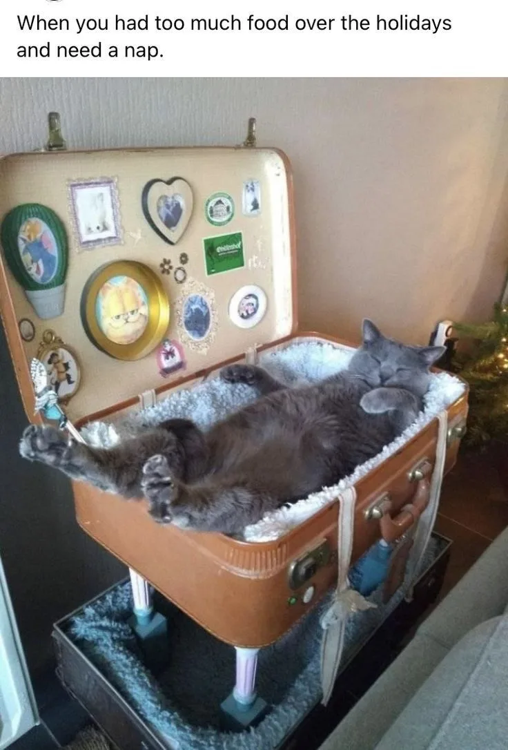 😺