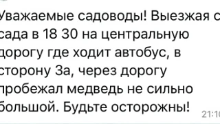 ОСТОРОЖНО, МЕДВЕДЬ!