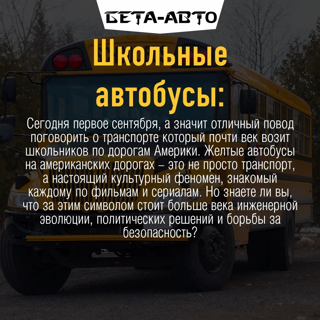 Понравился пост? Ставьте 👍 и делись в комментариях: ездили ли вы когда-нибудь на школь...