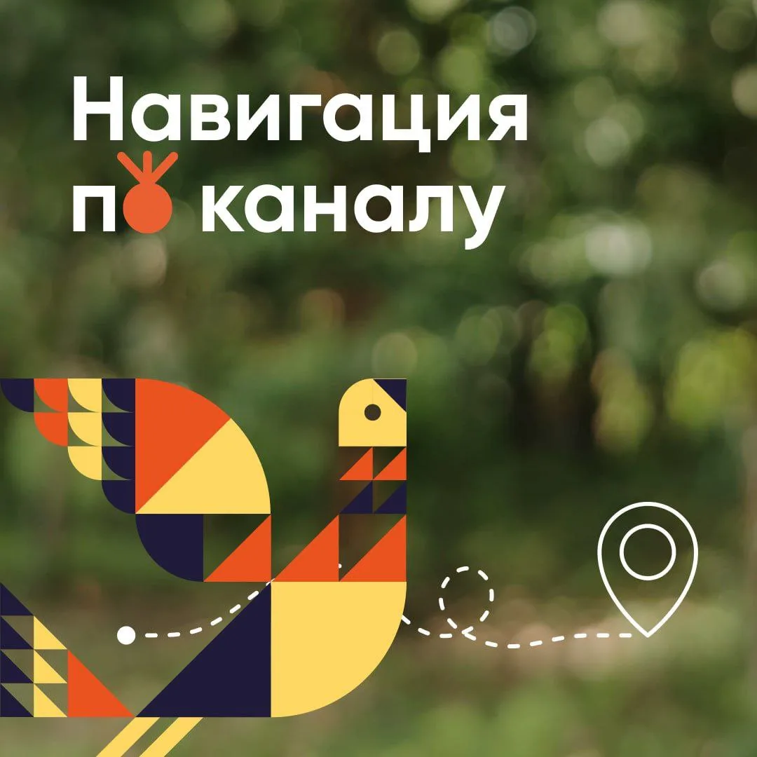 Подписчиков в MAX становится больше, и мы решили напомнить главные темы канала для ваше...